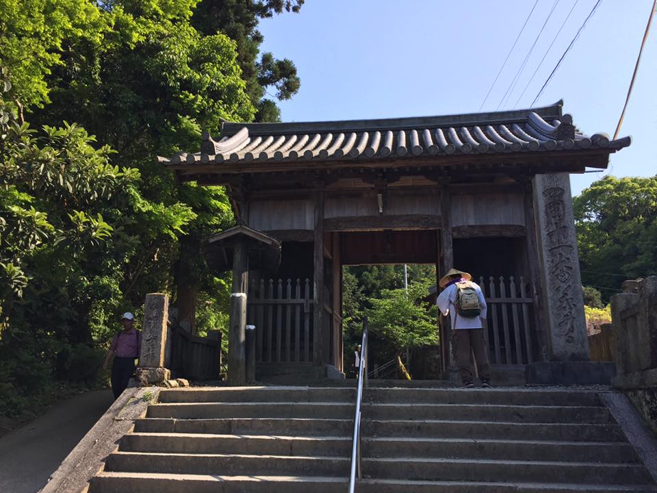 藤井寺